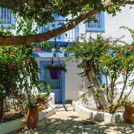 Pleiades Bay Leros 빌라 알린다