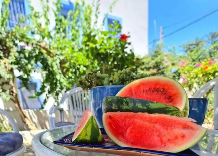 فيلة Pleiades Bay Leros *